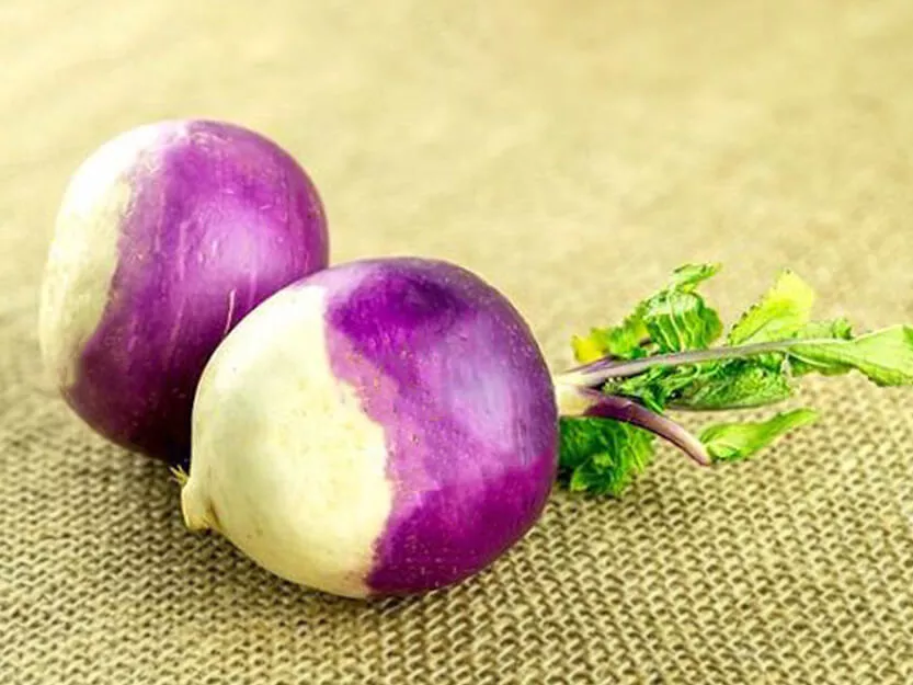 white purple turnip