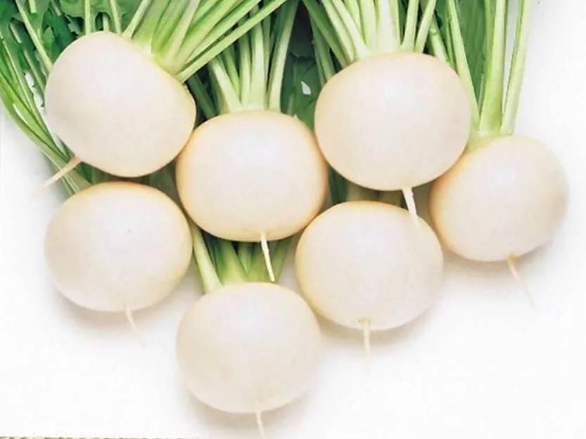 white turnip2