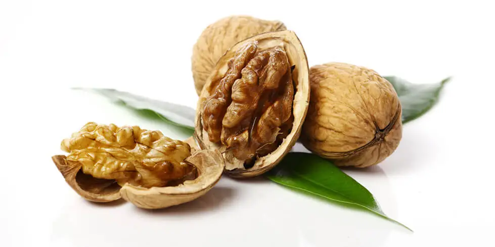 Health Benefits of Walnut and Nutrition Facts